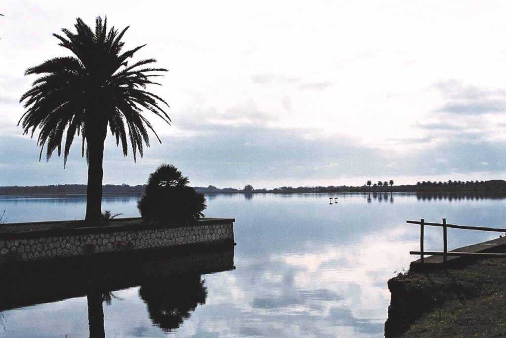 fogliano